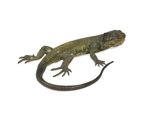 Lot 112 - An early 20th century cold painted bronze of a lizard by Bergman