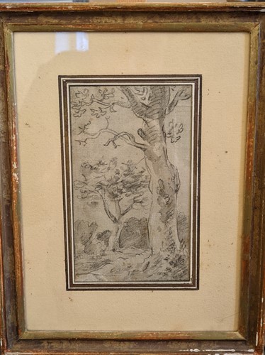 Lot 377 - Jan van Huysum (Dutch, 1682-1749), Study of...