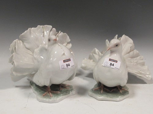 Lot 84 - A pair Rosenthal fan tail pigeons