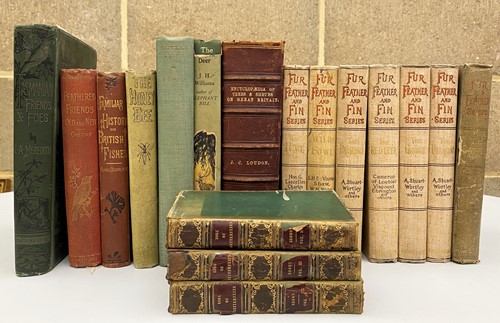 Lot 326 - Natural History. BROWN (Captain Thomas) The...