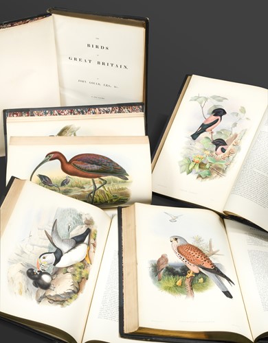 Lot 358 - GOULD (John) The Birds of Great Britain, 5...