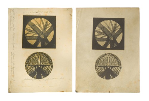 Lot 268 - Studio of Nicholaas Henneman Four...