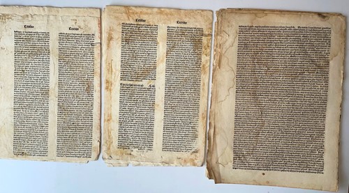 Lot 222 - Collection of 16th century folio text leaves...
