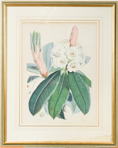 Lot 25 - Swiss scenic views, three coloured aquatints,...