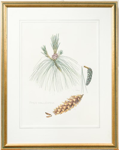 Lot 25 - Swiss scenic views, three coloured aquatints,...