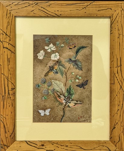 Lot 208 - ARE 1907, insect study, gouache on paper, 22 x...