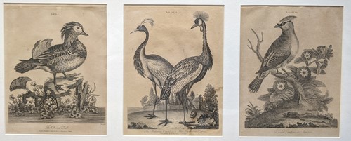 Lot 222 - A collection of four naturalistic works;...