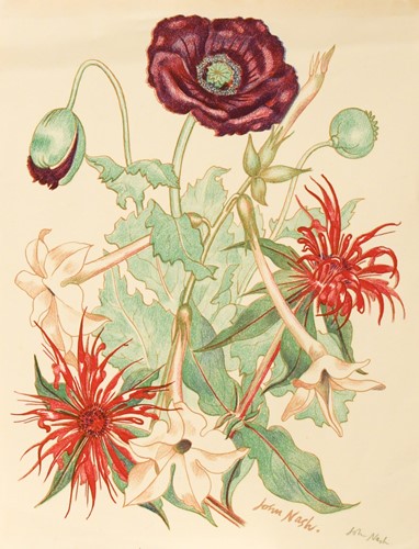 Lot 308 - John Nash CBE, RA (British 1893-1977)