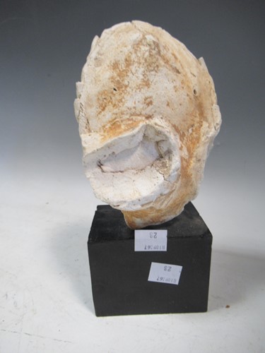 Lot 31 - A plaster model of Christ's head on a black...