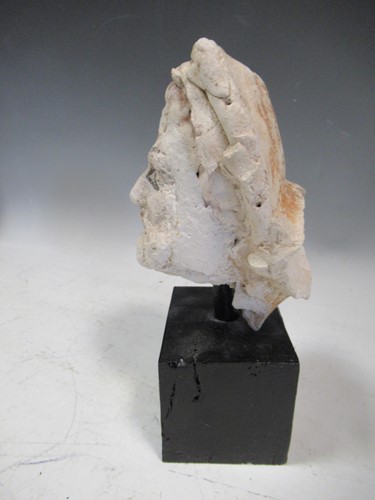Lot 31 - A plaster model of Christ's head on a black...