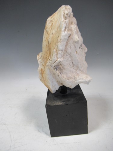 Lot 31 - A plaster model of Christ's head on a black...