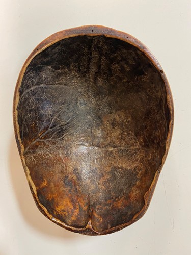 Lot 126 - A Tibetan Kapala, skull cup, 20th century