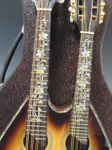 Lot 85 - Dual necked mandola and mandolin, with mother...