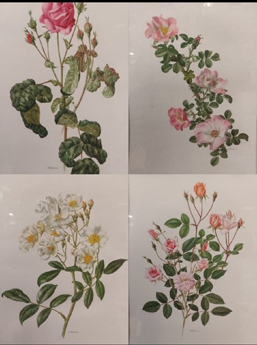 Lot 371 - Thirty-two modern floral prints after A. M....