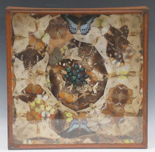 Lot 111 - Lepidopterology - a collection of 19th century...