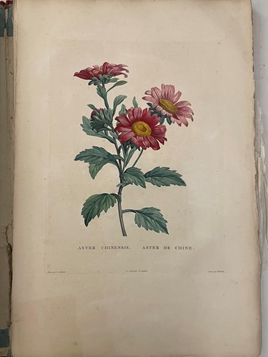 Lot 162 - ROUSSEAU (Jean Jacques)