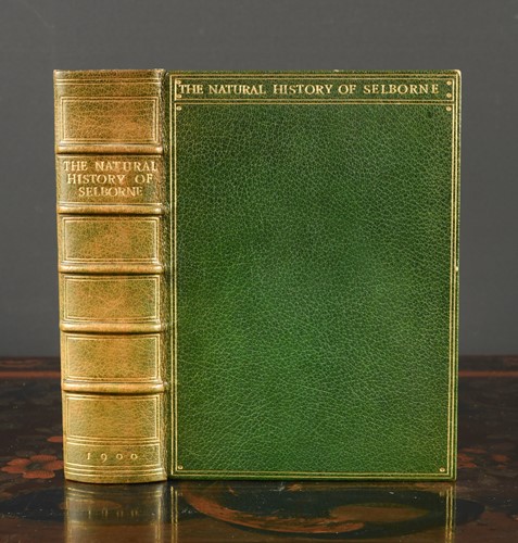 Lot 240 - WHITE (Gilbert)