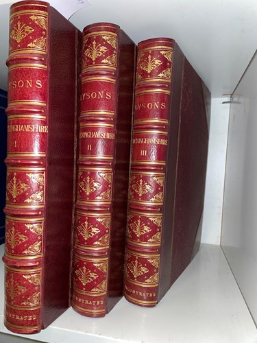 Lot 181 - LYSONS (Rev Daniel and Samuel)