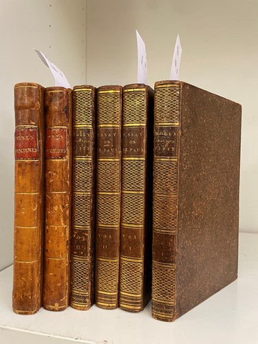 Lot 183 - MORE (Hannah)