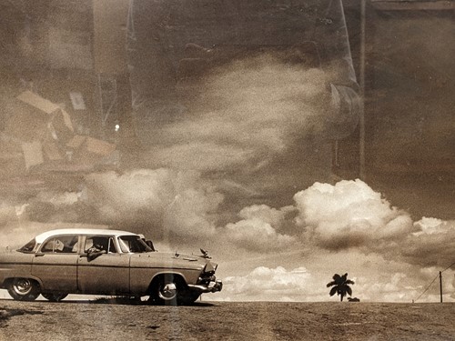 Lot 404 - Zephyr in the desert photographic print 32.5 x...