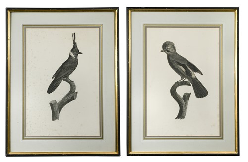 Lot 42 - After Jacques Barraband (1768-1809) (8)