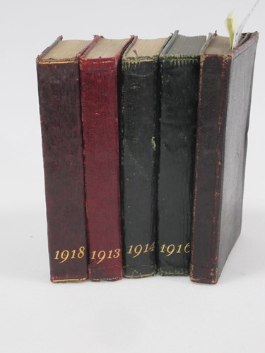 Lot 259 - First World War-related diary for 1919, kept...