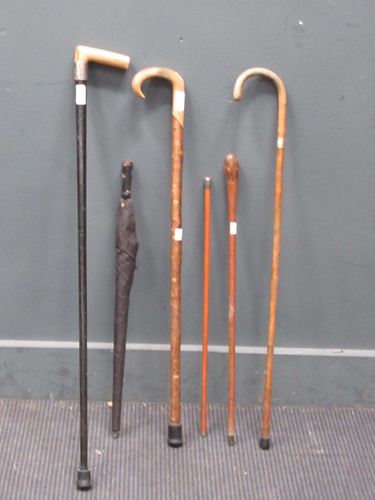Lot 302 - Various walking sticks, one with silver collar...