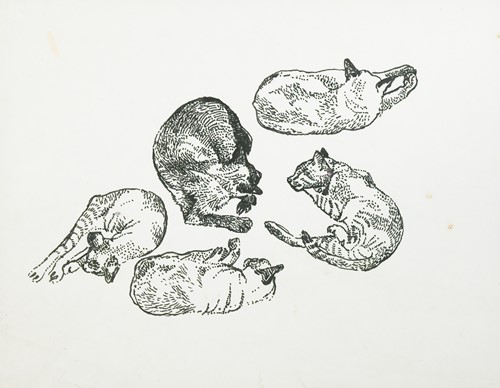 Lot 272 - Fred Yates (1922-2008)