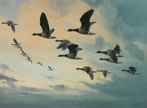 Lot 389 - John Cyril Harrison (British, 1898-1985)
