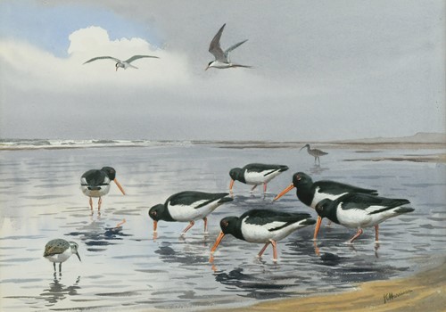 Lot 390 - John Cyril Harrison (1898-1985)