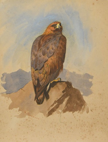 Lot 408 - Archibald Thorburn FZS (Scottish, 1860-1935)
