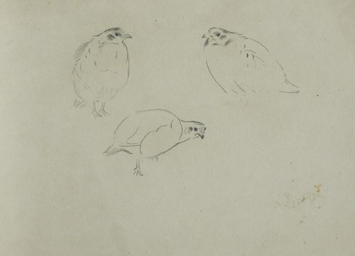 Lot 415 - Archibald Thorburn FZS (Scottish, 1860-1935)