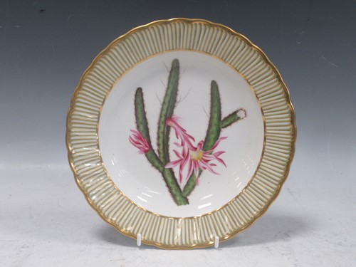 Lot 179 - A Derby botanical plate, early 19th century