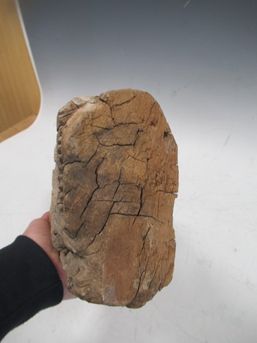 Lot 23 - A carved wood fragment of an Indian war horse...
