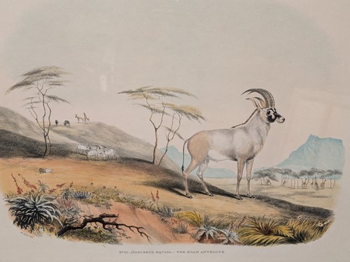 Lot 491 - Captain William Cornwallis Harris