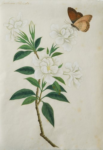 Lot 69 - Anglo-Chinese School (19th Century)