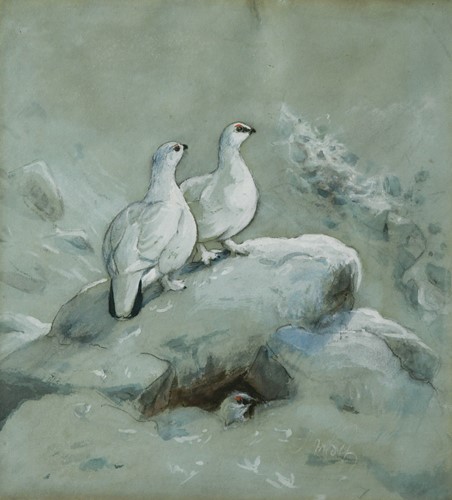 Lot 219 - Joseph Wolf (German, 1820-1899)
