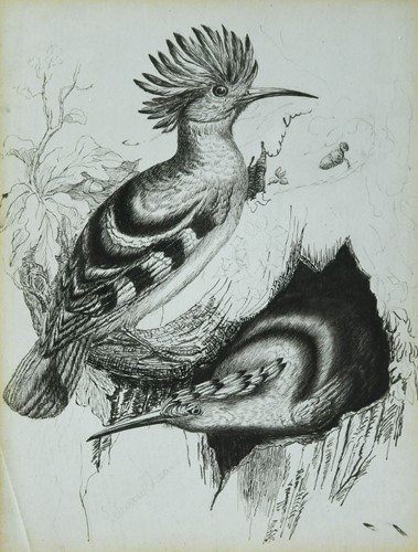 Lot 222 - Circle of Edward Lear (British, 1812-1888)