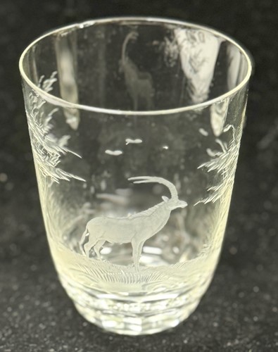 Lot 568 - A Rowland Ward Safari suite of glass