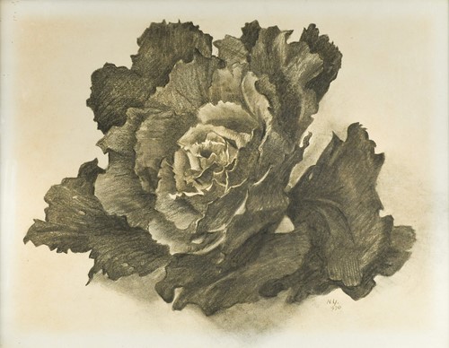 Lot 145 - Nan Youngman OBE (1906-1995)