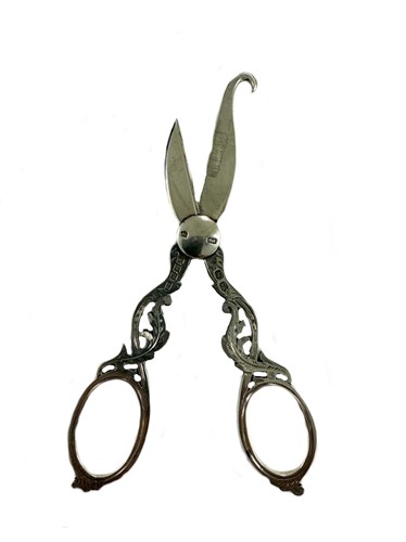 Lot 227 - An unusual pair of early 20th century silver 'hook end' grape scissors