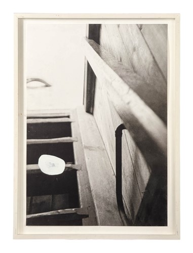 Lot 244 - Amy Stephens (1981-)