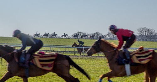 Lot 23 - Newmarket Experience