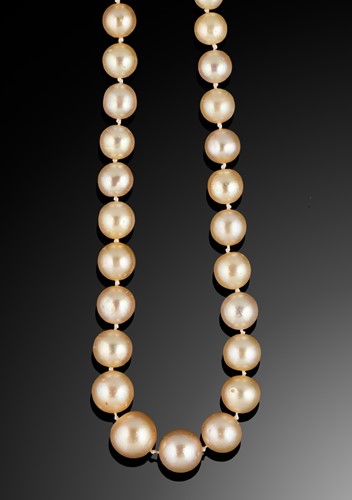 Lot 204 - A single row natural saltwater pearl necklace