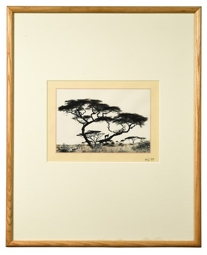 Lot 260 - John Reader (1937-) (3)