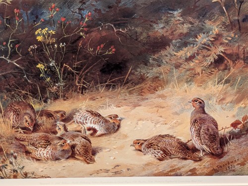 Lot 415 - After Archibald Thorburn (5)