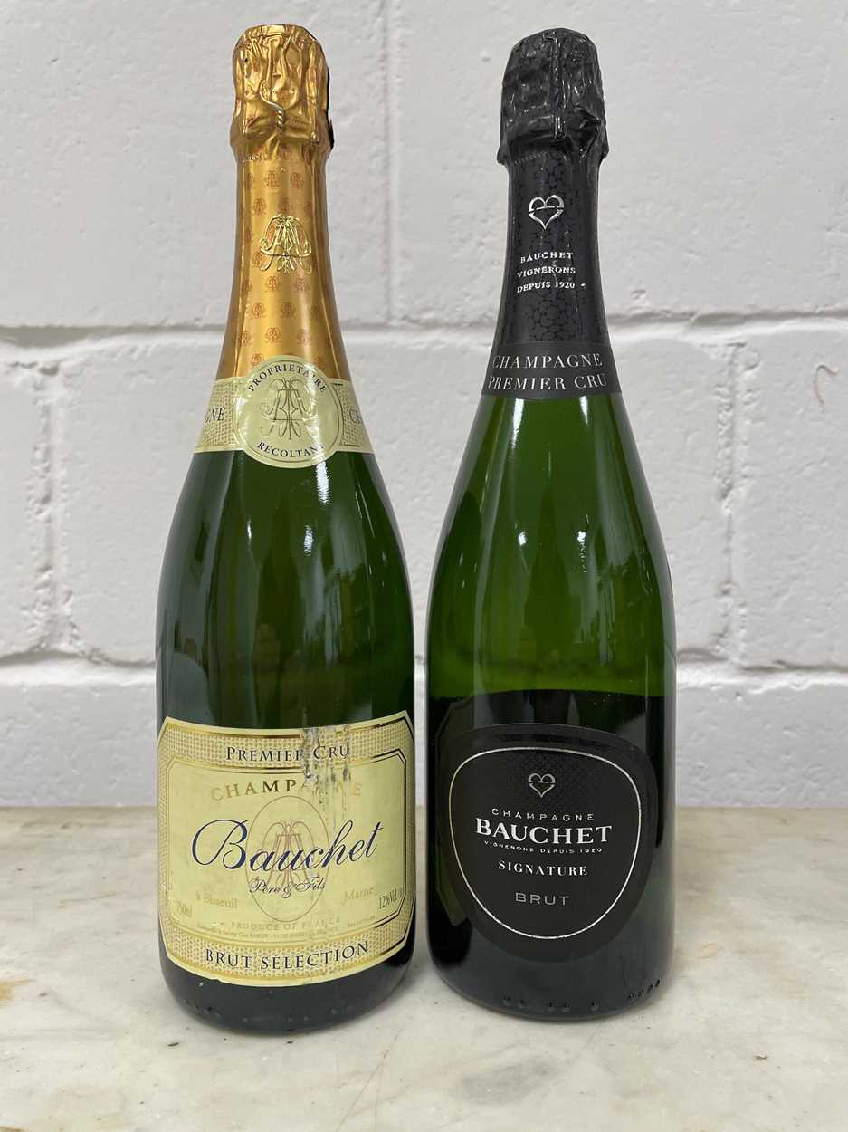 Lot 4 - Champagne Bauchet 1er Cru