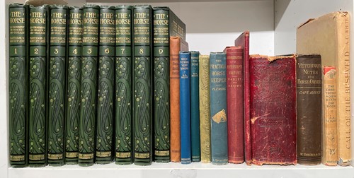 Lot 416 - Equestrian and children's