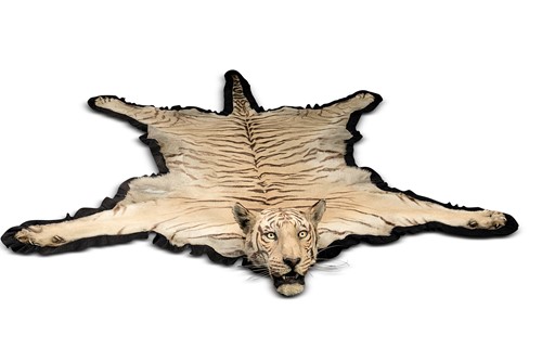Lot 95 - A Bengal Tiger Skin Rug (Panthera tigris tigris), by Van Ingen & Van Ingen, early 20th century
