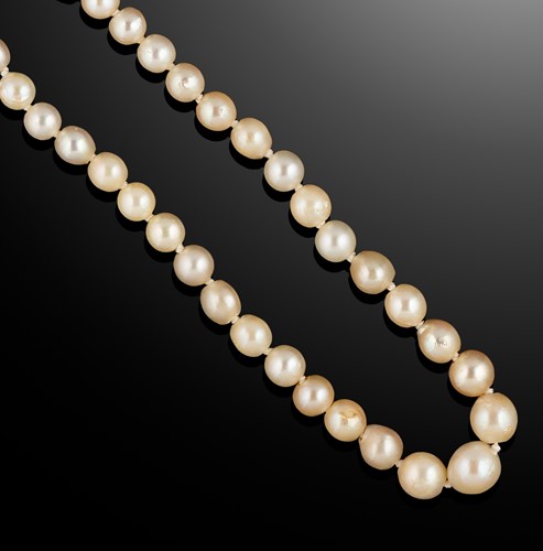 Lot 207 - A mixed natural saltwater and cultured pearl necklace